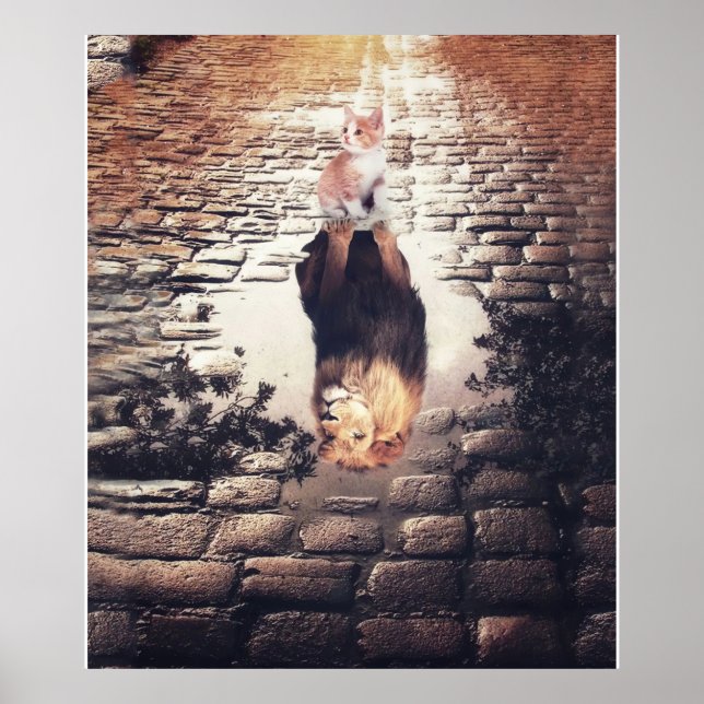 Poster Personalizado Para O Meu Gato Gato E O Mancal De L (Frente)