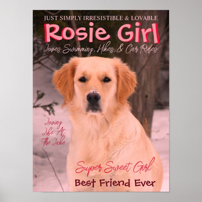 Poster Personalizar Com A Foto Pet (Frente)