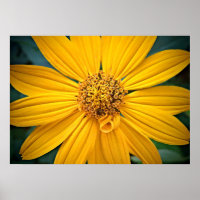 Personalizar Flor Amarelo Bonita