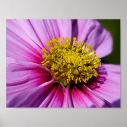 Pôster personalizar Personalizar O Destino Do Destino