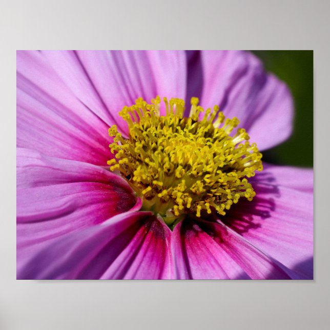 Pôster personalizar Personalizar O Destino Do Destino (Frente)