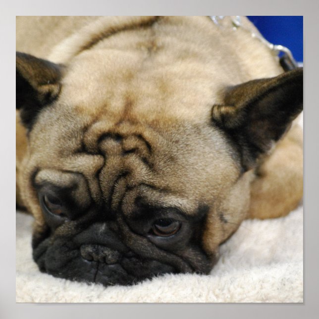 Poster Personalizar produto (Frente)