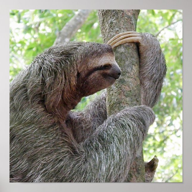 Poster Personalizar produto (Frente)