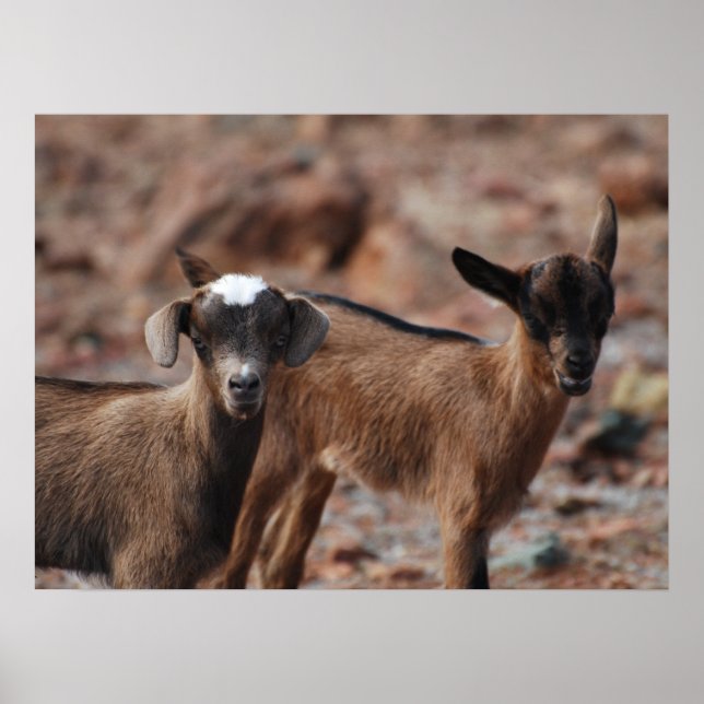 Pôster Personalizar produto (Frente)