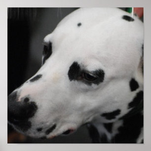 Poster Personalizar produto