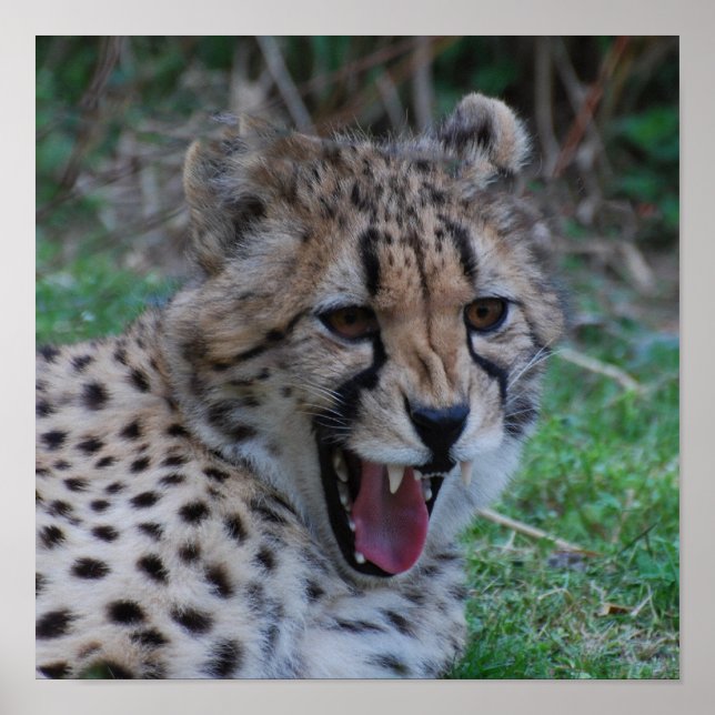 Poster Personalizar produto (Frente)