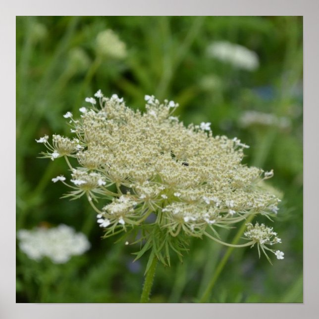 Pôster Personalizar produto (Frente)
