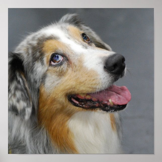 Poster Personalizar produto (Frente)