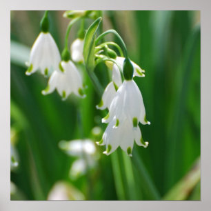 Pôster Personalizar produto