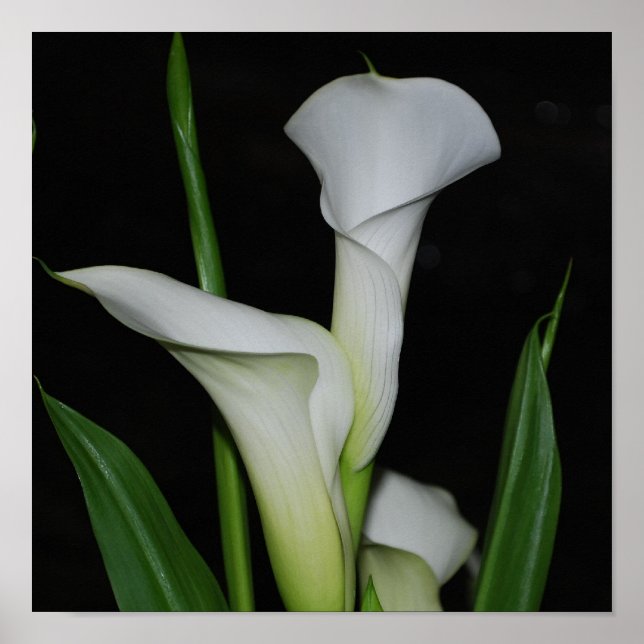 Pôster Personalizar produto (Frente)