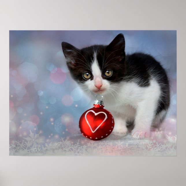 Poster personalizável para gatos pretos e brancos (Frente)
