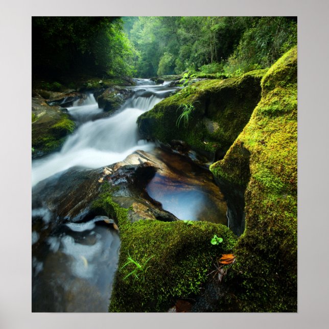 Poster personalizável: queda d'água do rio Chattoo (Frente)