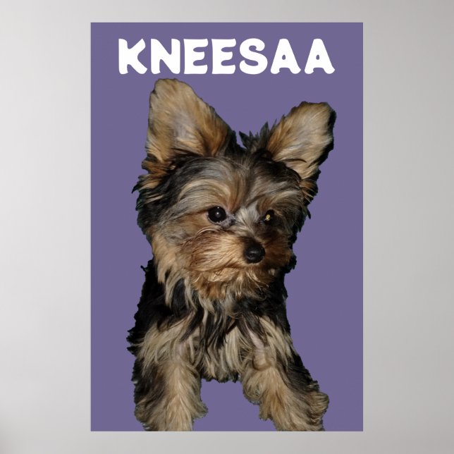 Poster Personalize! LAVANDA Pet Photo & Name (Frente)