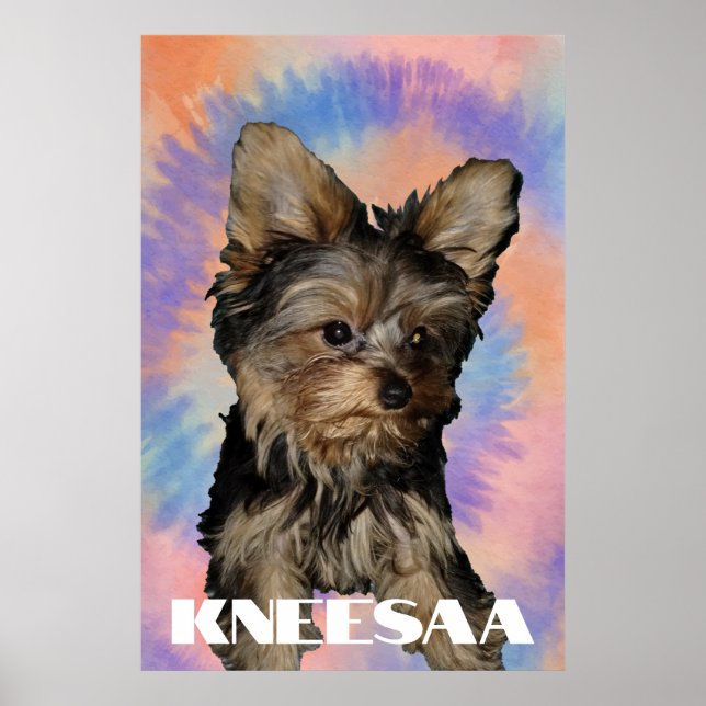 Poster Personalize-o! Foto e Nome de Pet em Tie Dye (Frente)