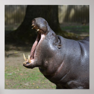 Poster Personalize o produto