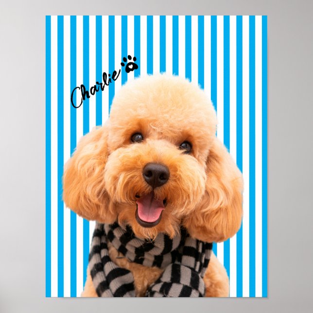 Poster Personalize Seu Próprio Cachorro Com Foto E Nome (Frente)