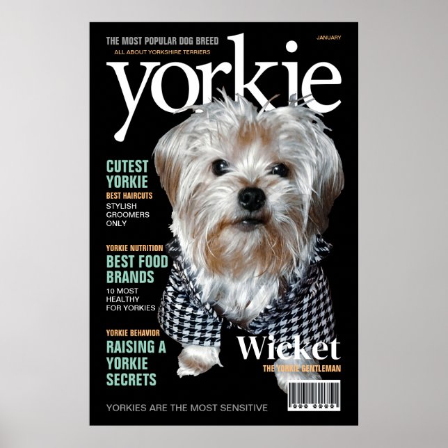 Poster Personalize! Yorkie Mag (Frente)