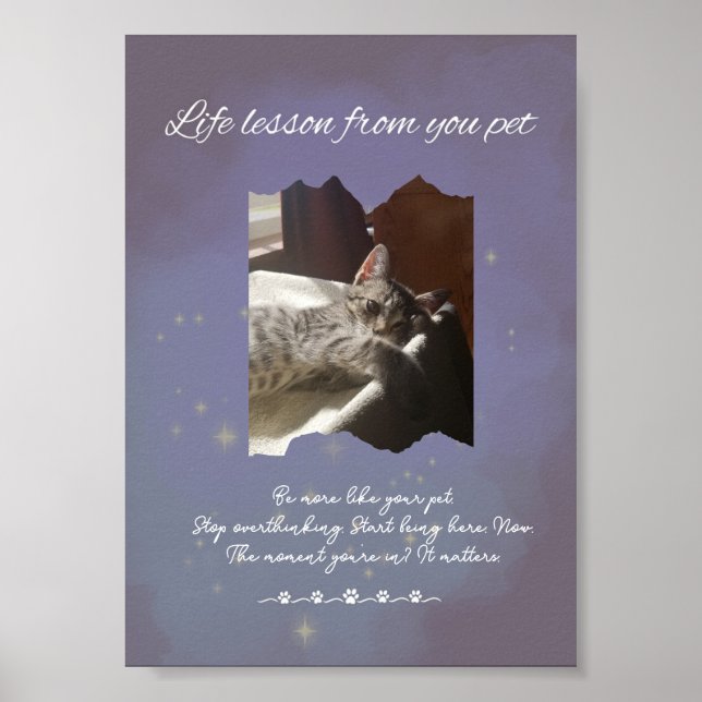 Poster Personalized Dreamy Life Lessons from your Pet  (Frente)