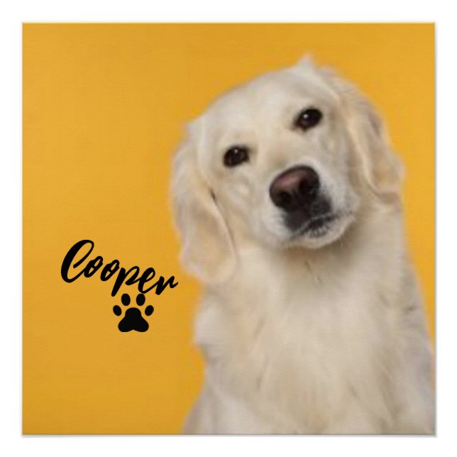 Pôster Personalized Pet  Photo Dog Lover with Photo (Frente)