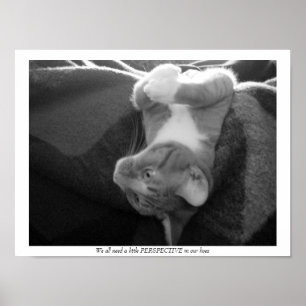 Poster Perspectiva