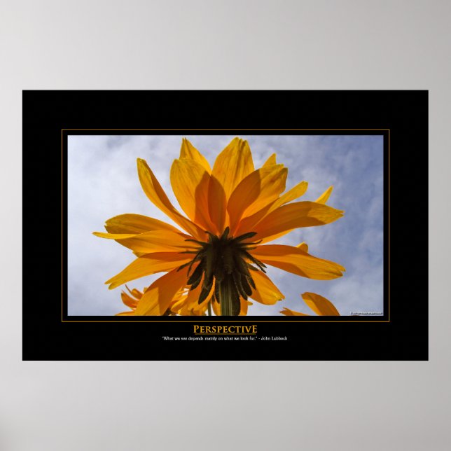 Pôster Perspectiva (Frente)