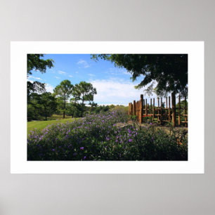 Pôster Perspectiva de bambu da cerca