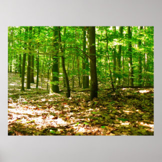 Pôster Perspectiva de Cachorro