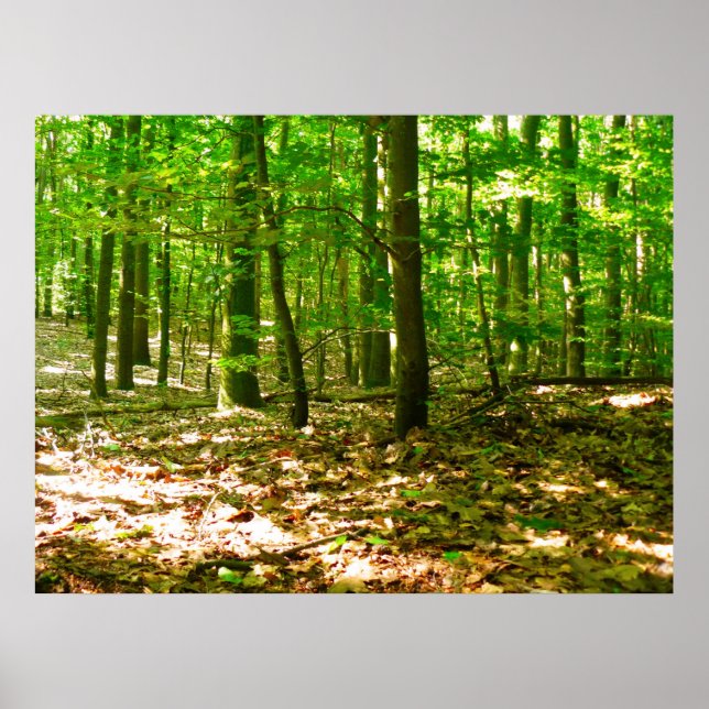 Pôster Perspectiva de Cachorro (Frente)