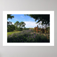 Perspectiva de cerca de bambu