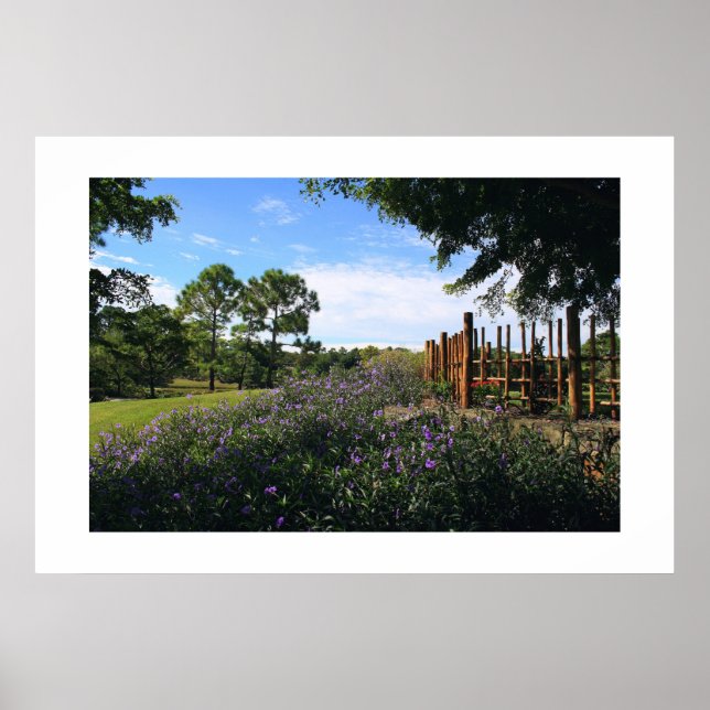 Pôster Perspectiva de cerca de bambu (Frente)