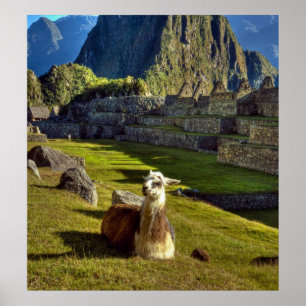 Poster Peru, Andes, Cordilheira dos Andes, Machu Picchu