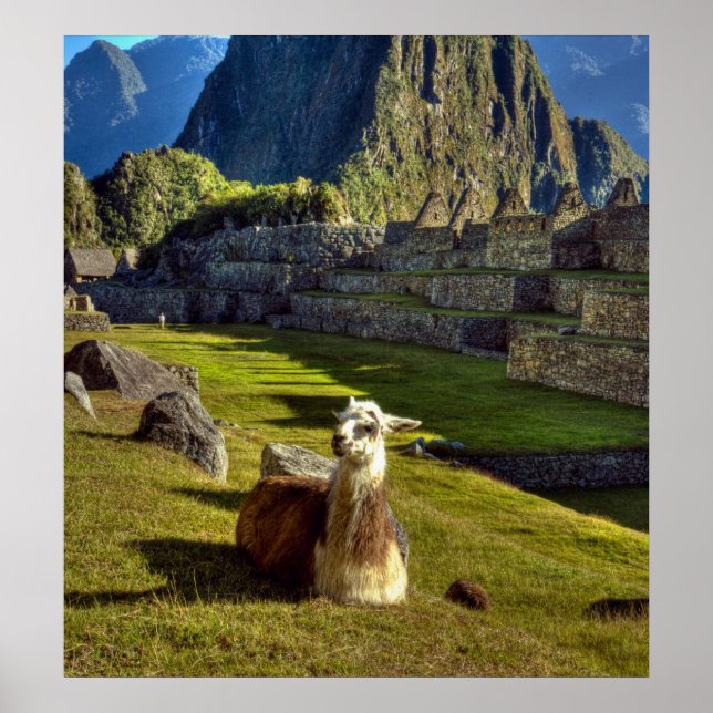 Poster Peru, Andes, Cordilheira dos Andes, Machu Picchu (Frente)