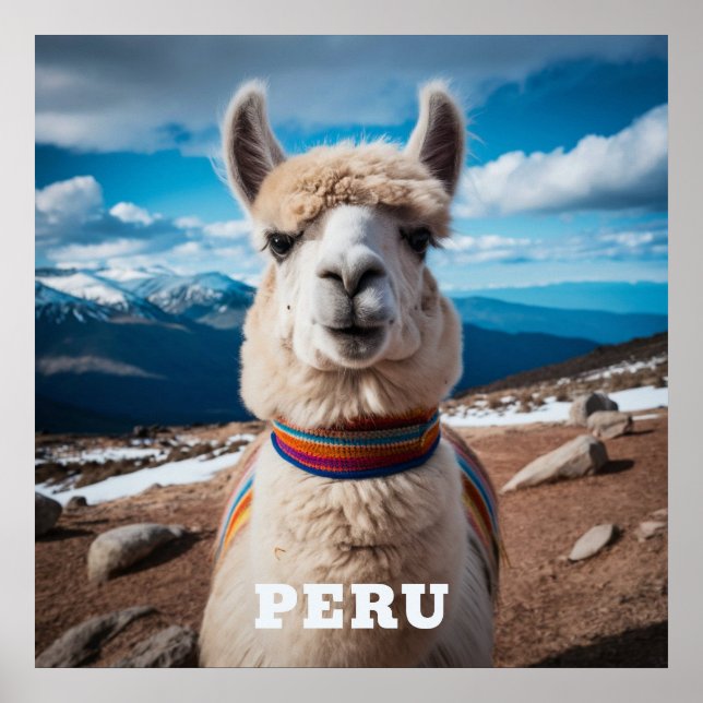 Poster Peru Llama (Frente)