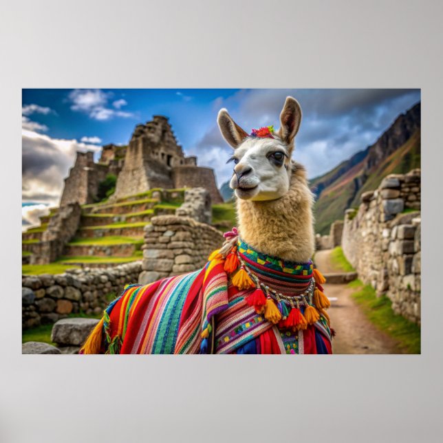 Poster Peru Llama (Frente)