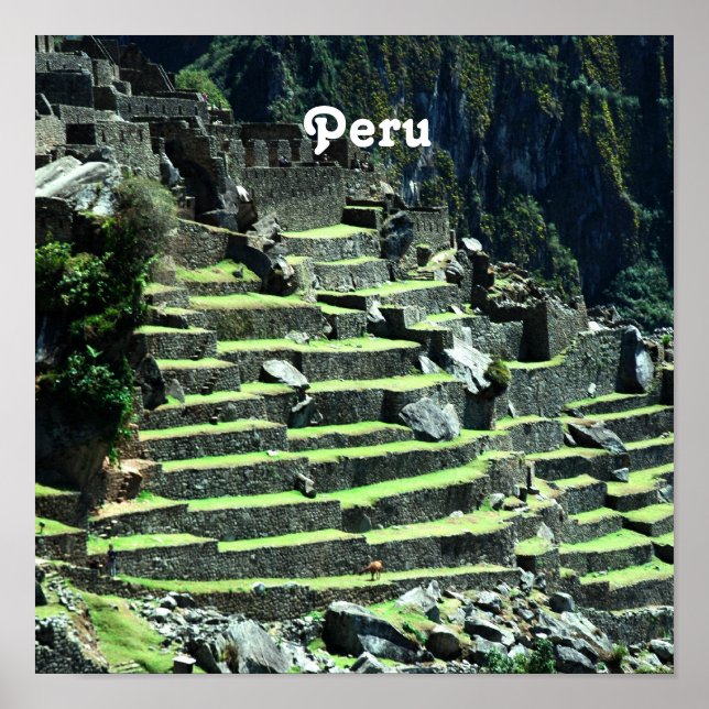 Pôster Peru Ruins (Frente)