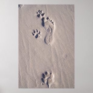 Pôster Pés Felizes