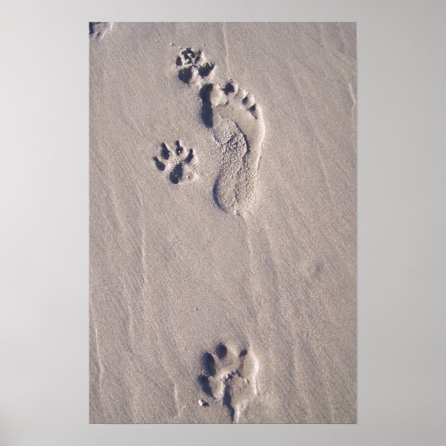 Pôster Pés Felizes (Frente)