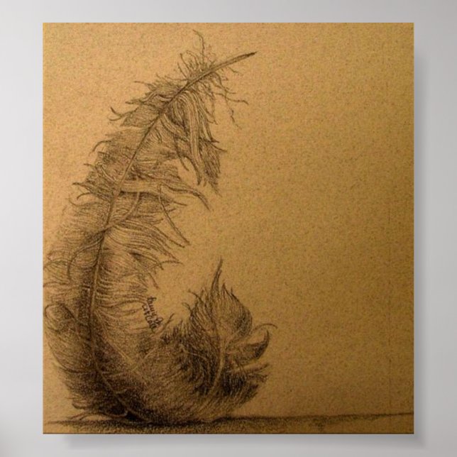 Poster Pesada Como Uma Pena (Frente)