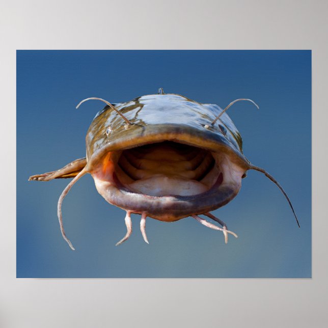 Pôster Pesca da Boca Grande (Frente)