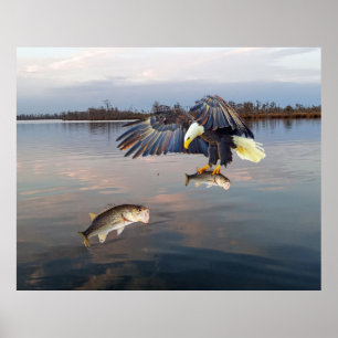 Poster Pesca De Bass De Águia Balda