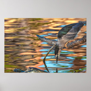 Poster Pesca de Heron pelo lago