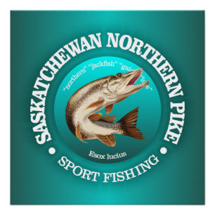 Pôster Pesca de Pike Saskatchewan