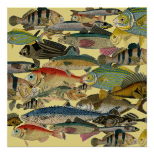 Pôster Pesca de profundidade Pesca exótica Tropical