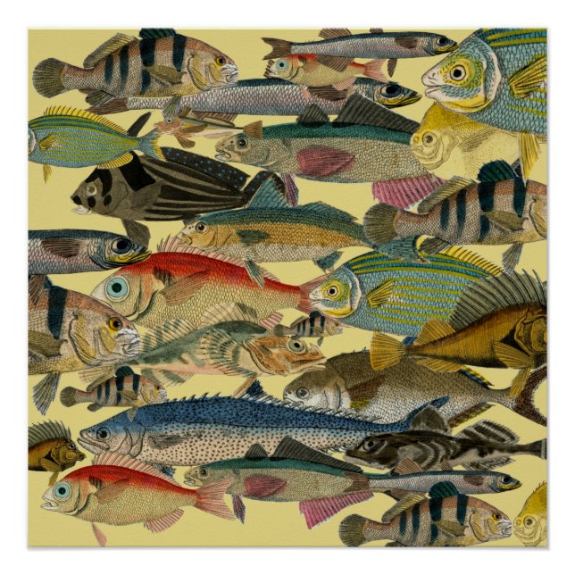 Pôster Pesca de profundidade Pesca exótica Tropical (Frente)