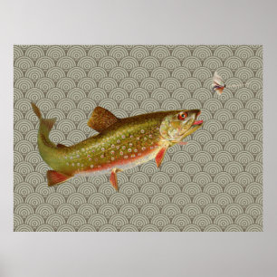 Pôster Pesca de truta arco-íris com vintage