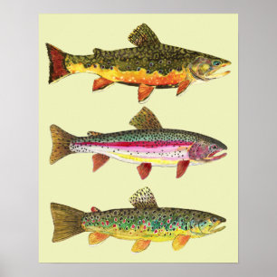 Poster Pesca de trutas