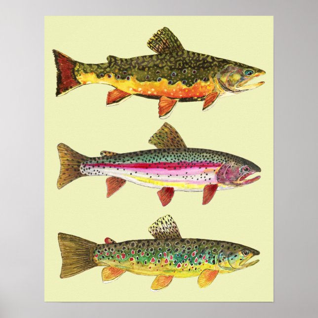 Poster Pesca De Trutas (Frente)
