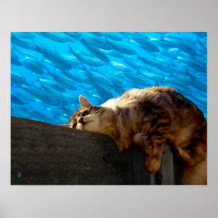 Pôster Pesca do Catnap