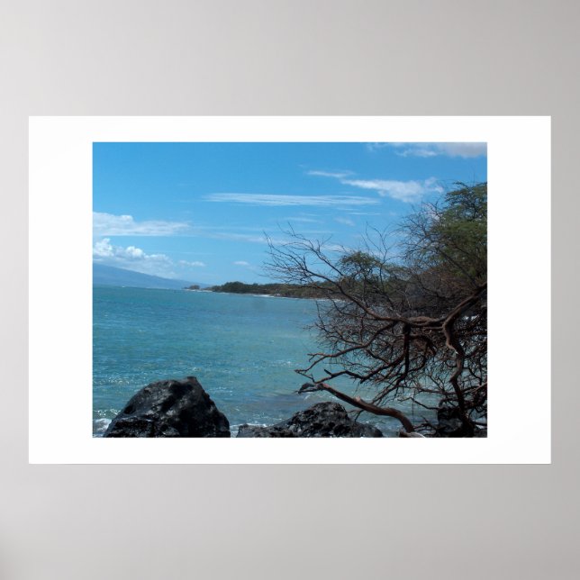 Pôster Pesca do Havaí (Frente)