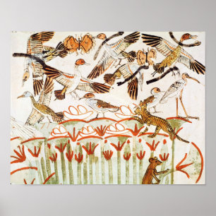 Pôster Pesca e espadilha nos pântanos